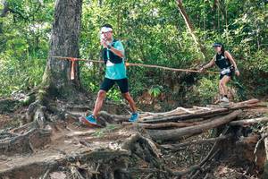 BIB: 
                            <button type="button" onclick="openModal(27556036)" class="btn btn-primary btn-sm float-right btn-popup" data-toggle="modal" data-target=".modal-high-quality">
                        <i class="fas fa-shopping-cart"></i> Add to Cart
                    </button>
                                            <button type="button" onclick="isThisMe(27556036, true)" class="btn btn-success btn-sm float-right btn-popup btn-isme hidden" data-toggle="tooltip" data-placement="bottom" title="นี่คือรูปของคุณใช่ไหม คลิกที่นี่เพื่อเอาเข้าอัลบั้ม">
                        <i class="fas fa-plus"></i> Add to album
                    </button>
                    <button type="button" onclick="isThisMe(27556036, false)" class="btn btn-warning btn-sm float-right btn-popup btn-isnotme hidden">
                        <i class="fas fa-ban"></i> Remove from album
                    </button>